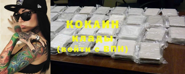 индика Новокубанск