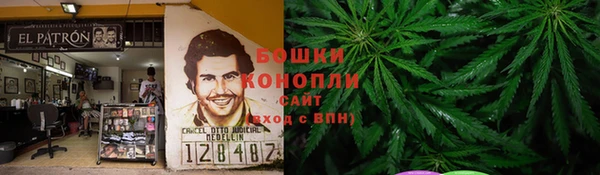 индика Новокубанск