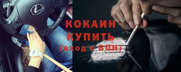 индика Новокубанск