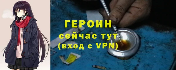 прущие грибы Новодвинск