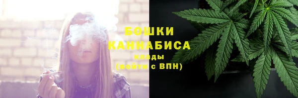 прущие грибы Новодвинск