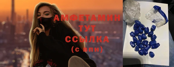 индика Новокубанск