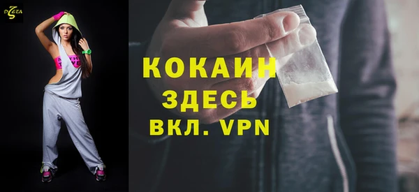 прущие грибы Новодвинск