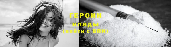 прущие грибы Новодвинск