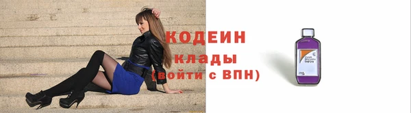 прущие грибы Новодвинск