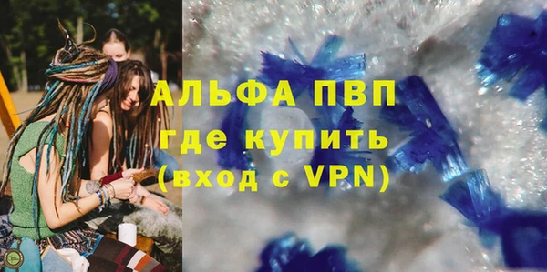 индика Новокубанск