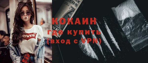 индика Новокубанск