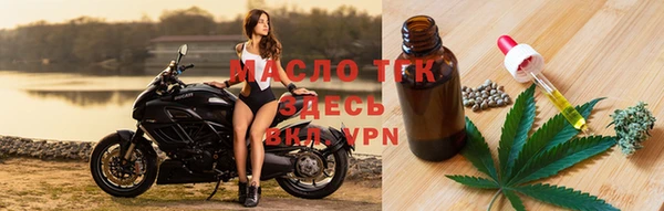 прущие грибы Новодвинск