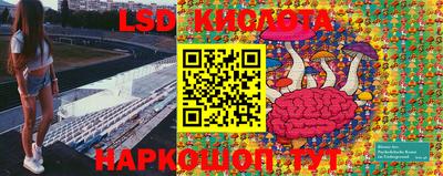 индика Волжский