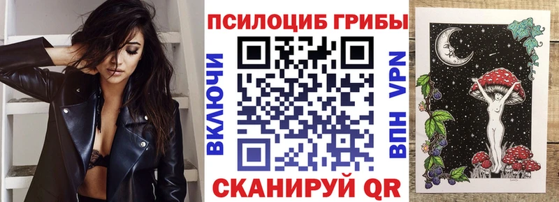 как найти   кракен как войти  Галлюциногенные грибы мицелий  Когалым 