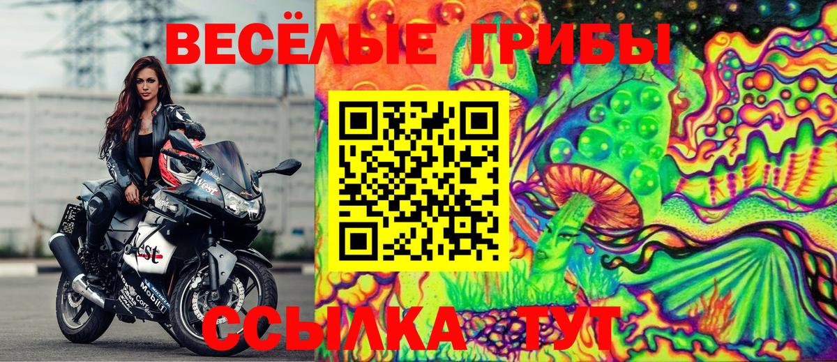 Псилоцибиновые грибы GOLDEN TEACHER Когалым