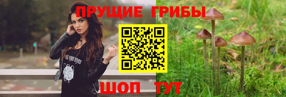 Галлюциногенные грибы мицелий  Вход с VPN  Когалым  Псилоцибиновые грибы прущие грибы 